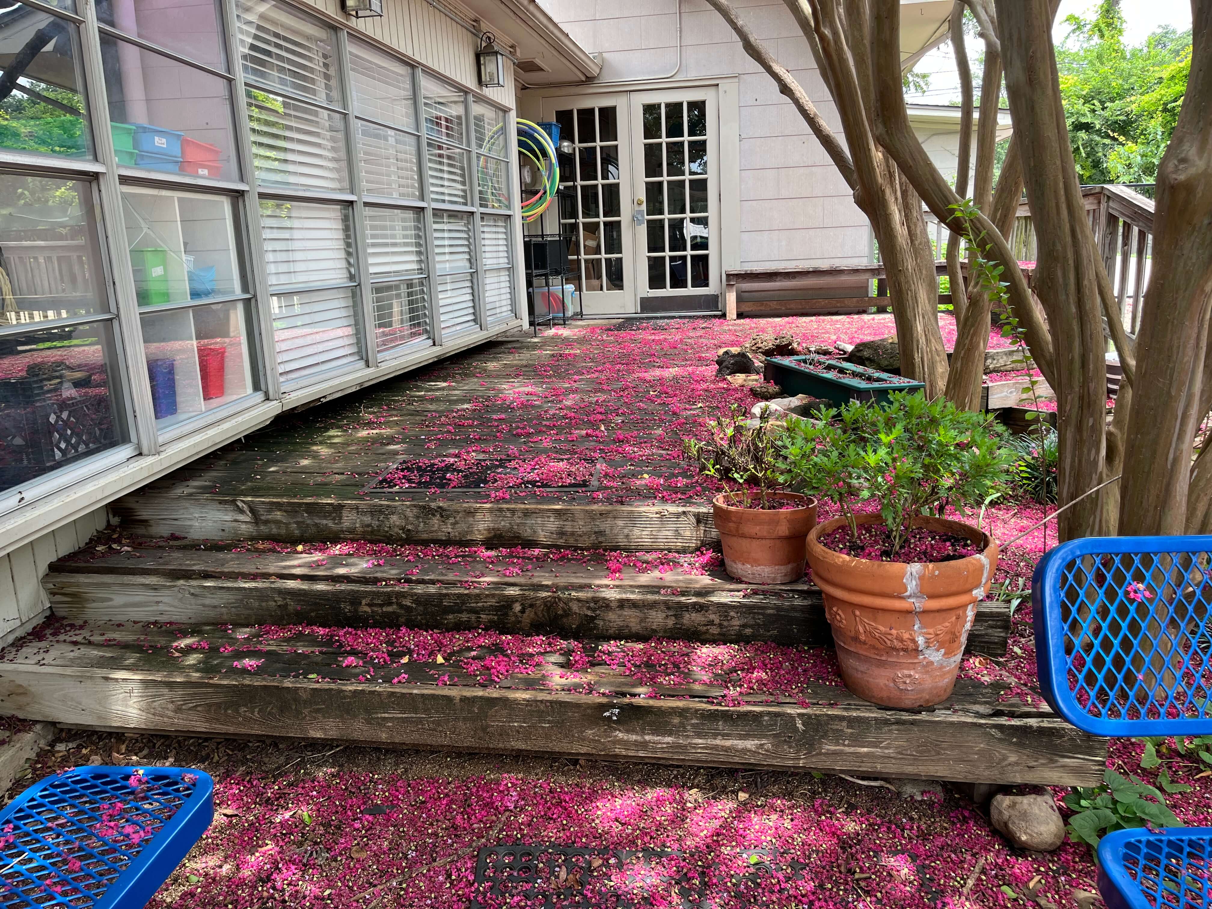 Deck reimagined before