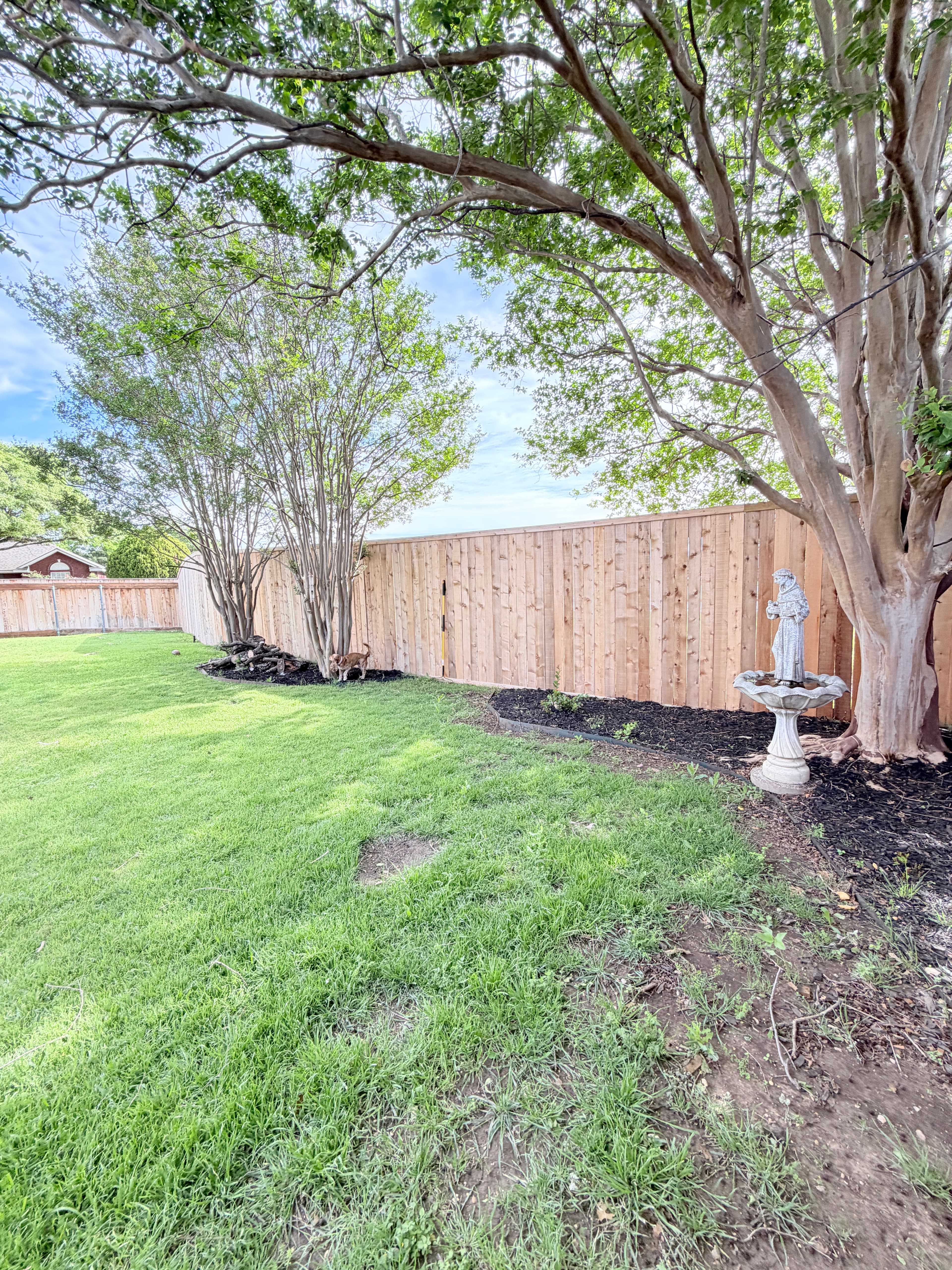 New fence. New look after